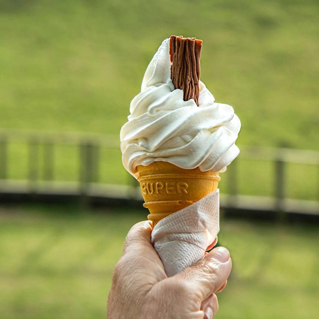 ETHICAL VANILLA: HOW CORPORATE SOCIAL RESPONSIBILITY IS RESHAPING THE FLAVOR INDUSTRY