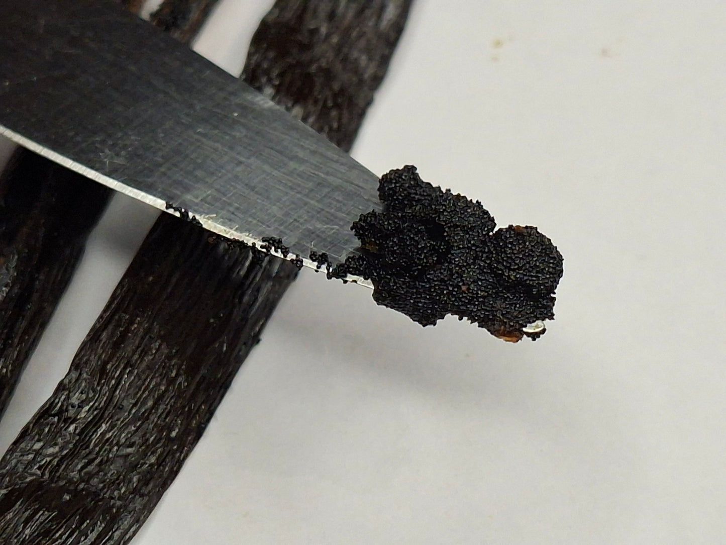 Close-up of vanilla bean seeds and oily pod surface