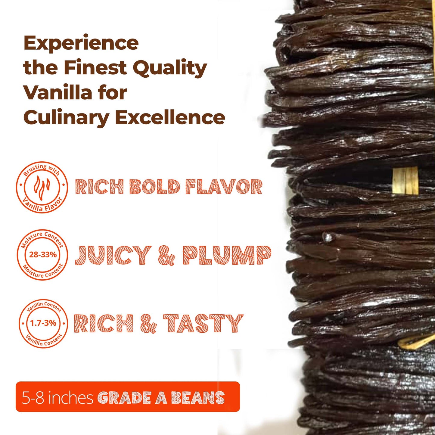 Experience the finest quality vanilla for culinary excellence.
Rich Bold Flavor
(28%-33%) - Juicy & Plump
(1.7-3%)Rich & Tasty
Gourmet vanilla beans sourced from New York laid out for culinary use