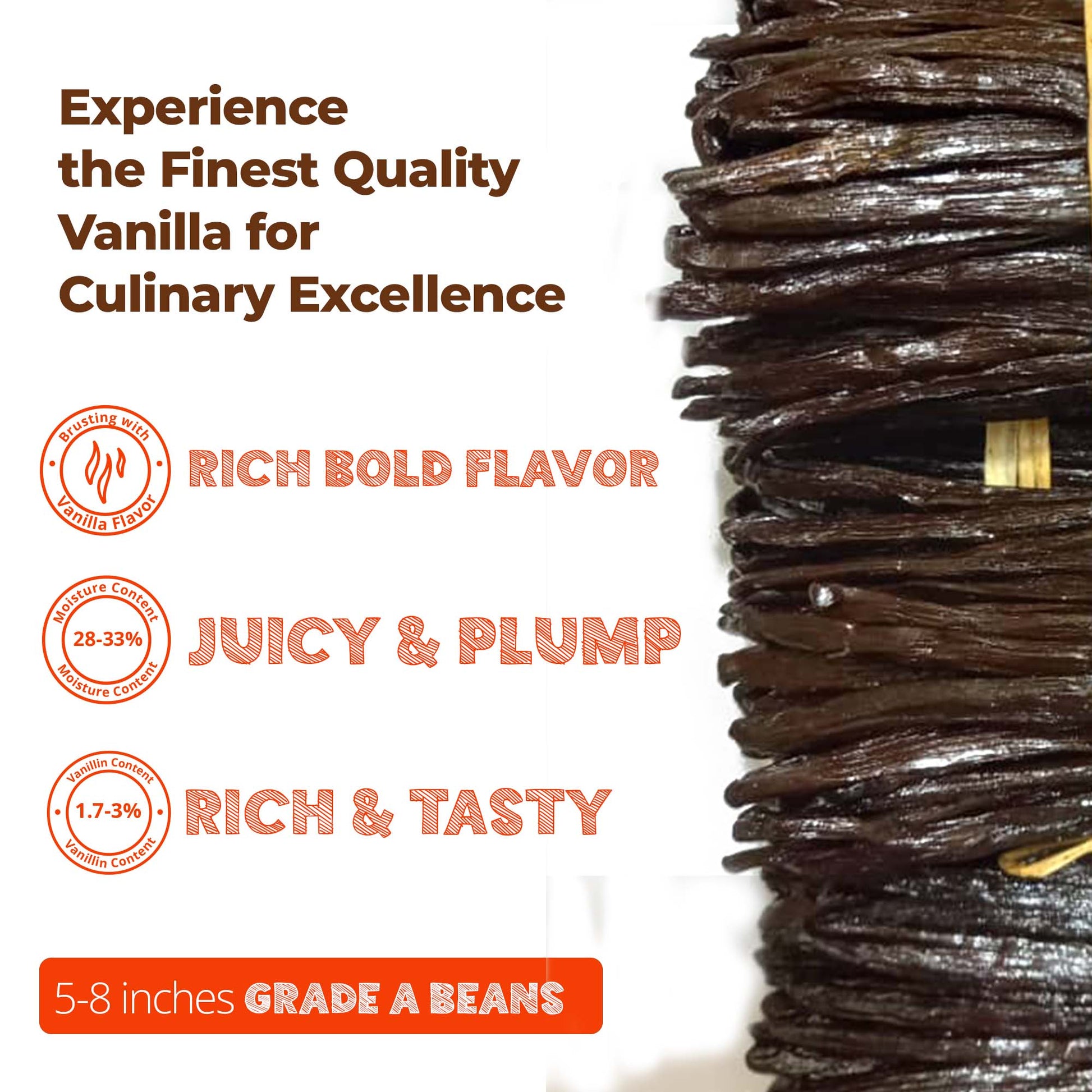 Experience the finest quality vanilla for culinary excellence.
Rich Bold Flavor
(28%-33%) - Juicy & Plump
(1.7-3%)Rich & Tasty
Gourmet vanilla beans sourced from New York laid out for culinary use