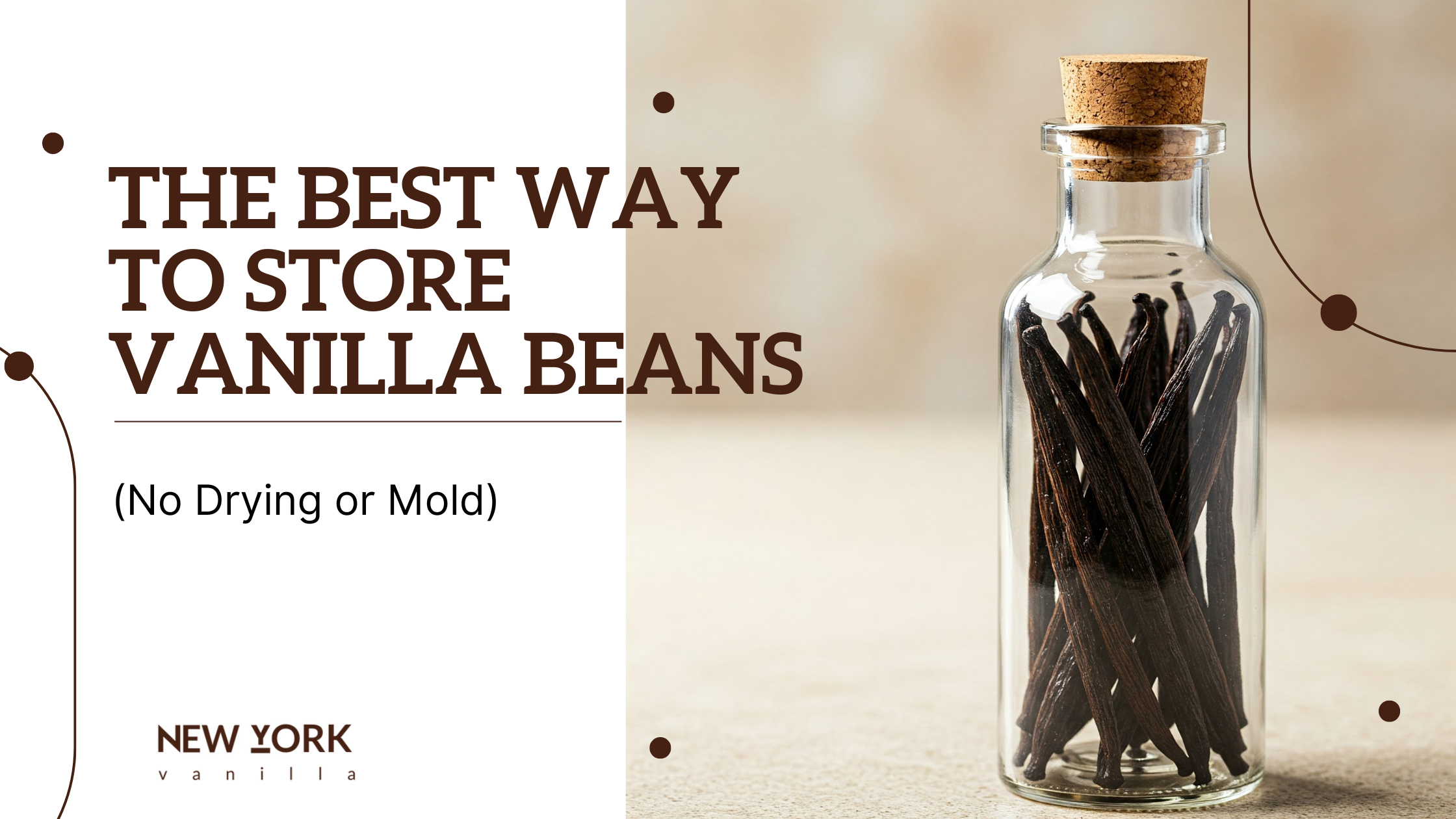 The Best Way to Store Vanilla Beans in 2025 (No Drying or Mold!)