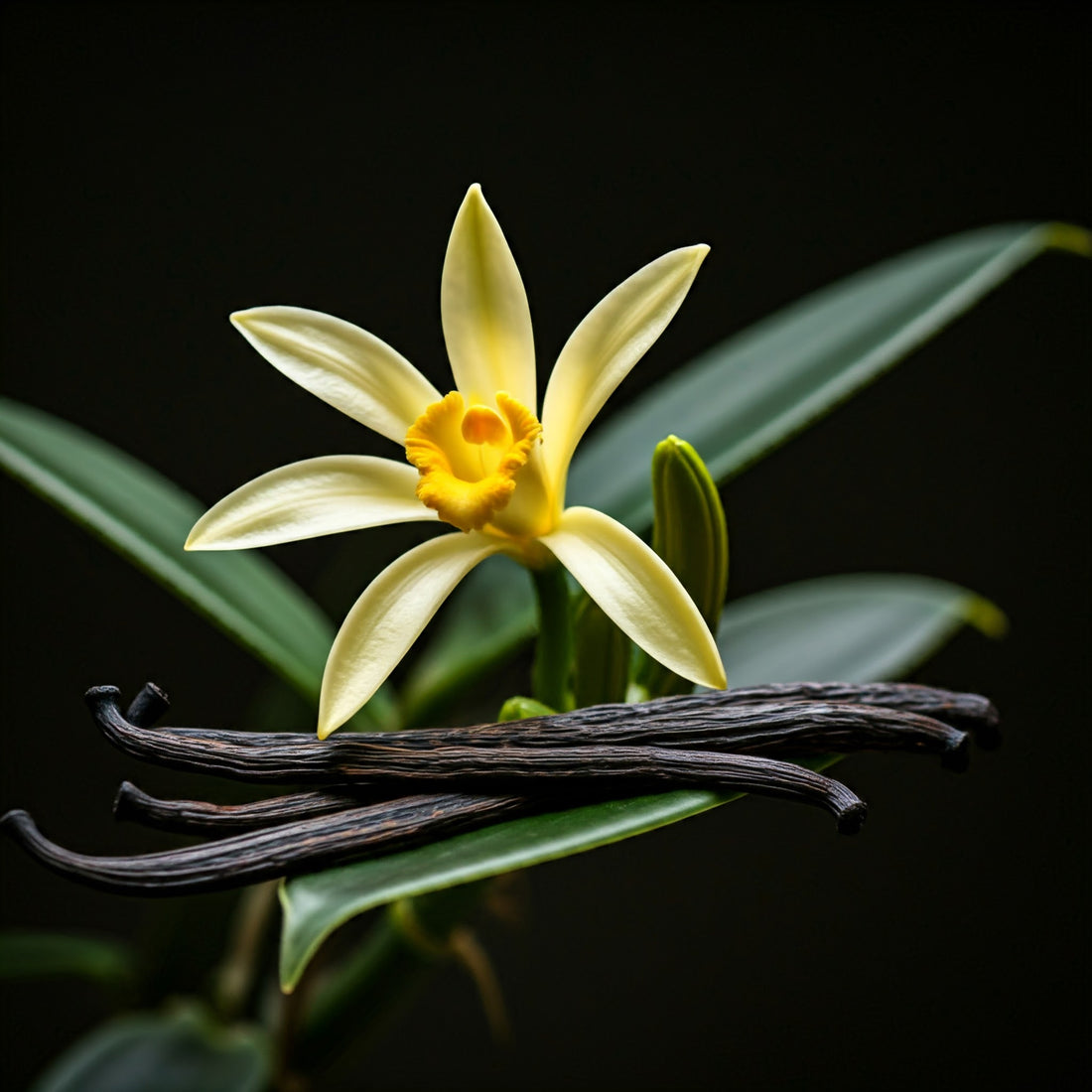 THE TRUTH ABOUT VANILLA : WHAT'S IN YOUR FLAVOURING?