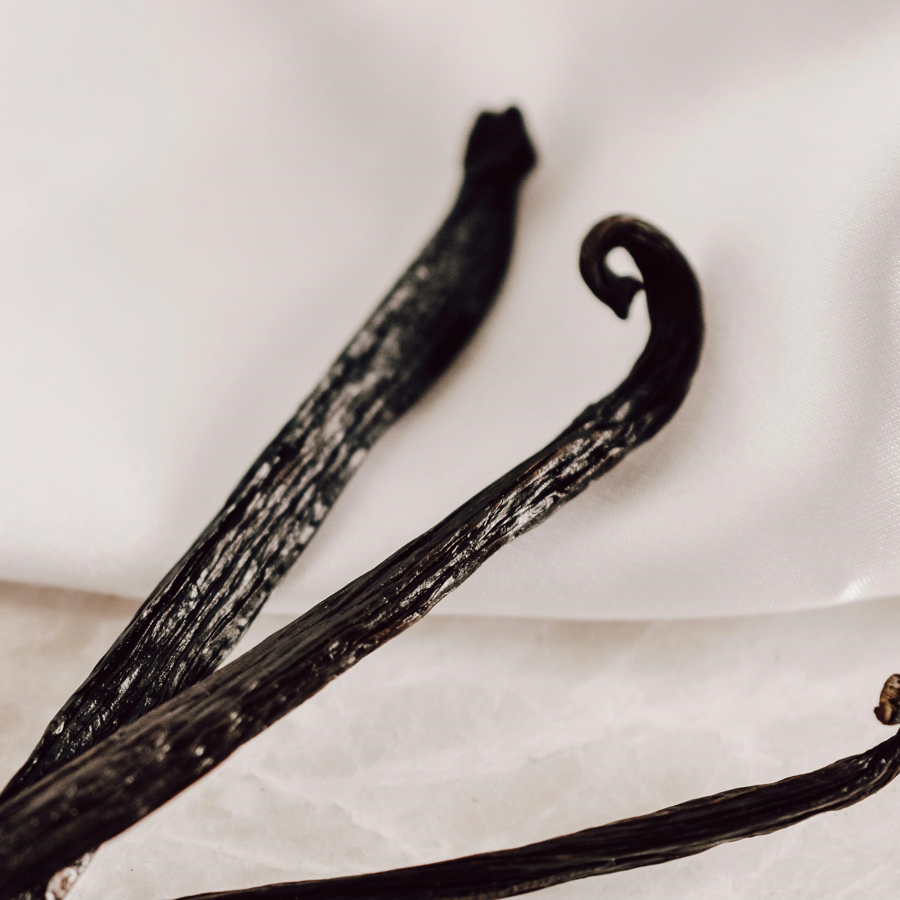 5 Reasons to Embrace the Rich Flavor of Vanilla Beans