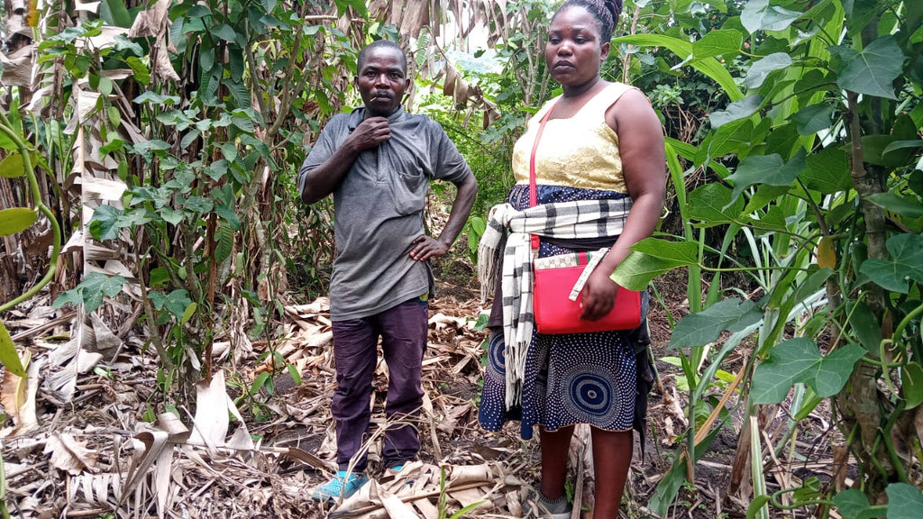 How NY Vanilla is Impacting Uganda: A Vision for Environmental Transformation