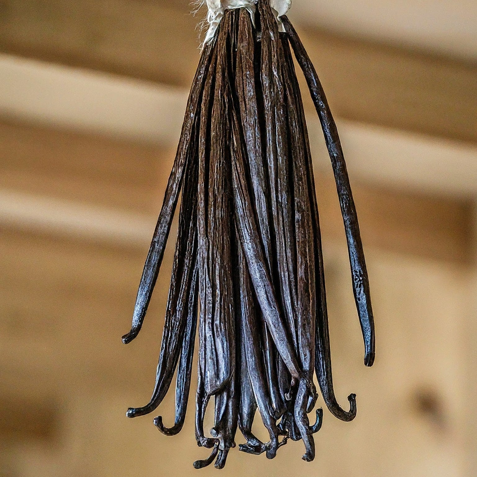 Vanilla: Exploring From Sweet Nostalgia to Versatility – NY Vanilla