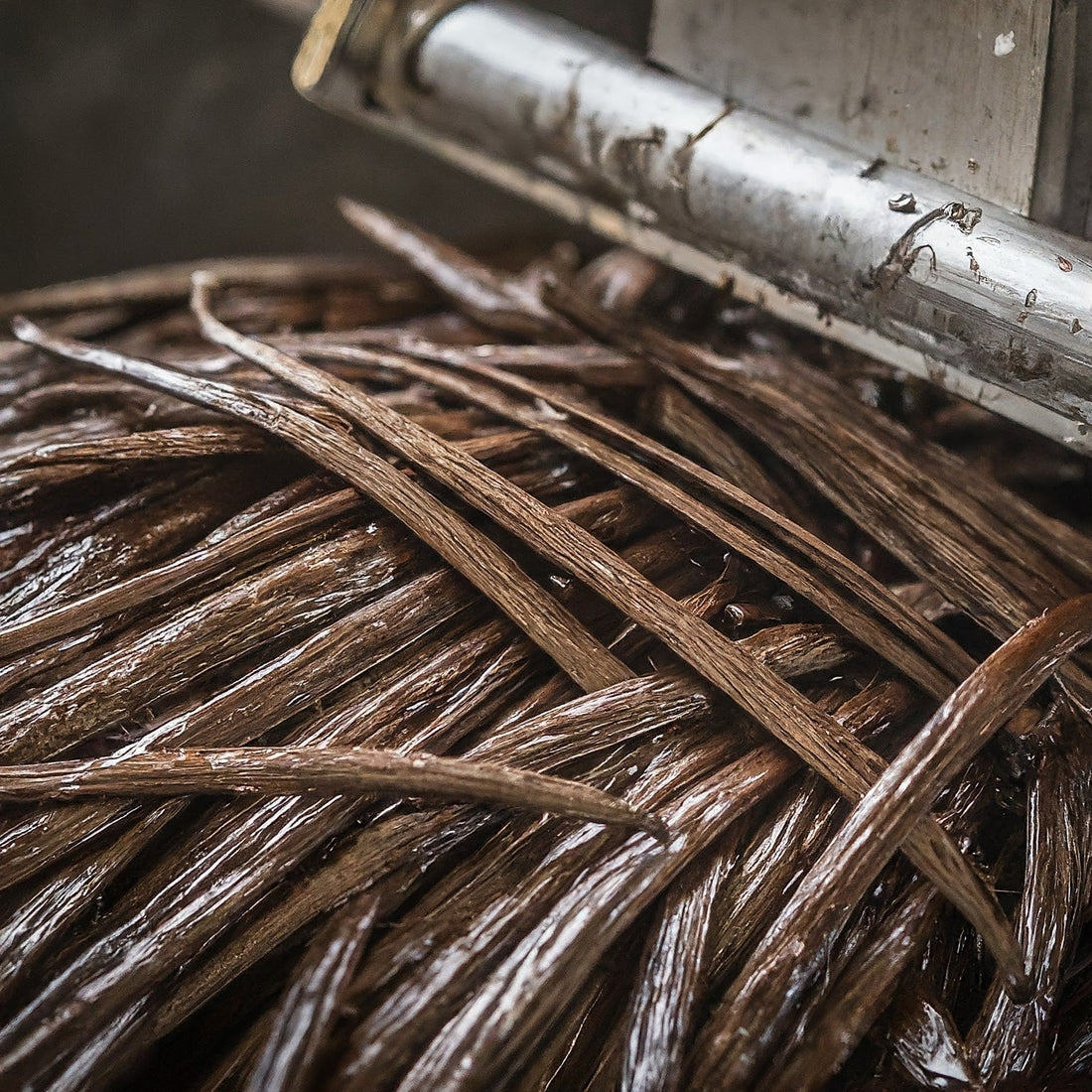 Small-Batch Vanilla: Science & Extraction Innovations