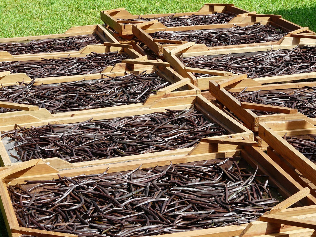 HOW TO HANDLE VANILLA BEANS