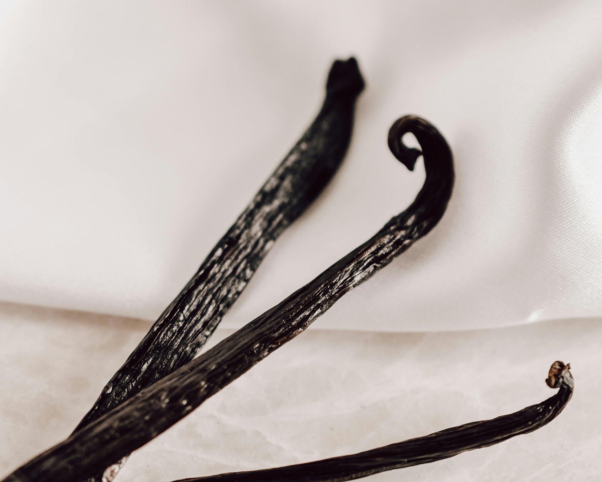 EVERYTHING YOU NEED TO KNOW ABOUT VANILLA – NY Vanilla
