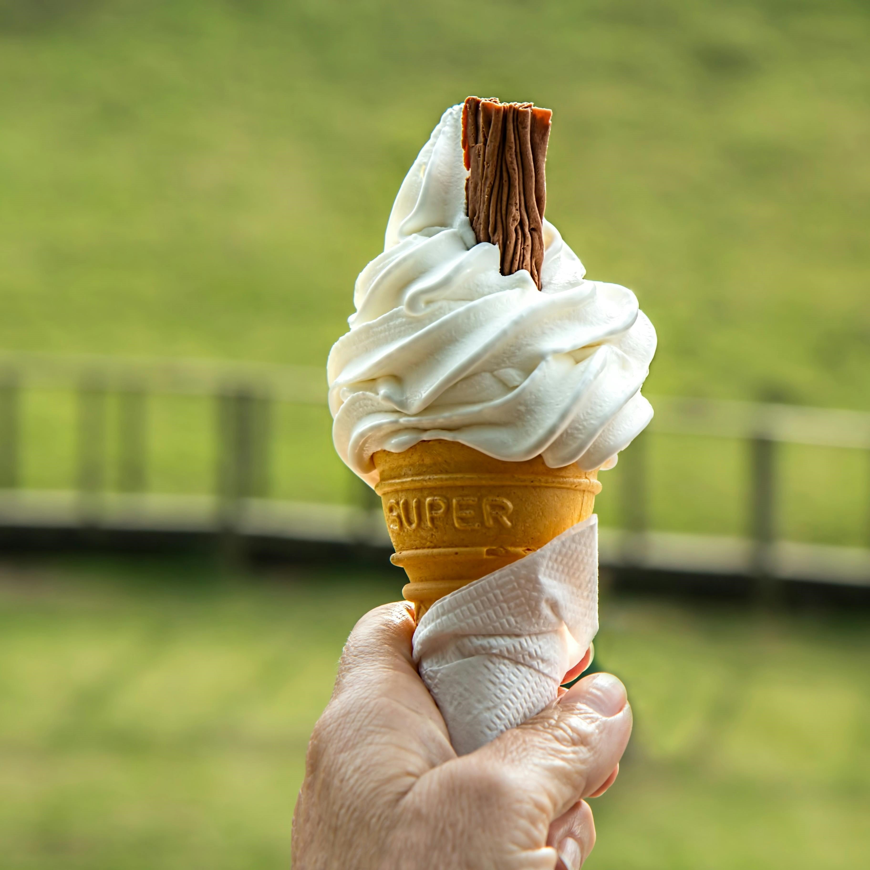 Ethical Vanilla: How CSR Is Changing the Industry