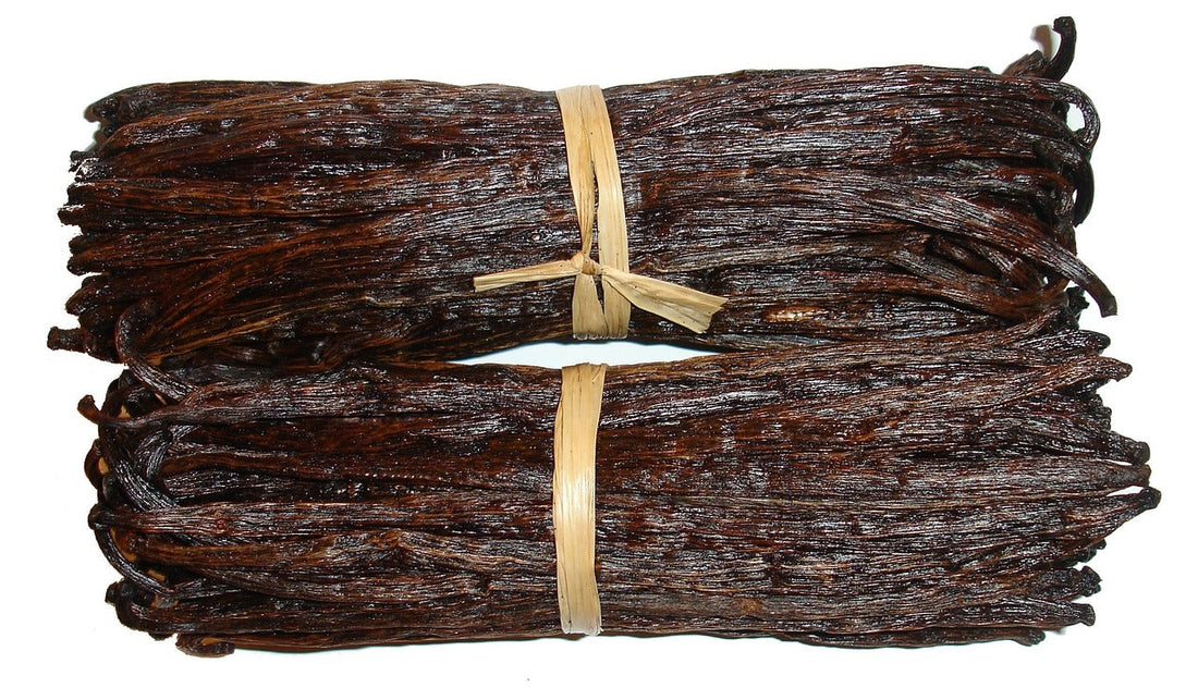 Ugandan Vanilla Beans vs Madagascar: Key Differences