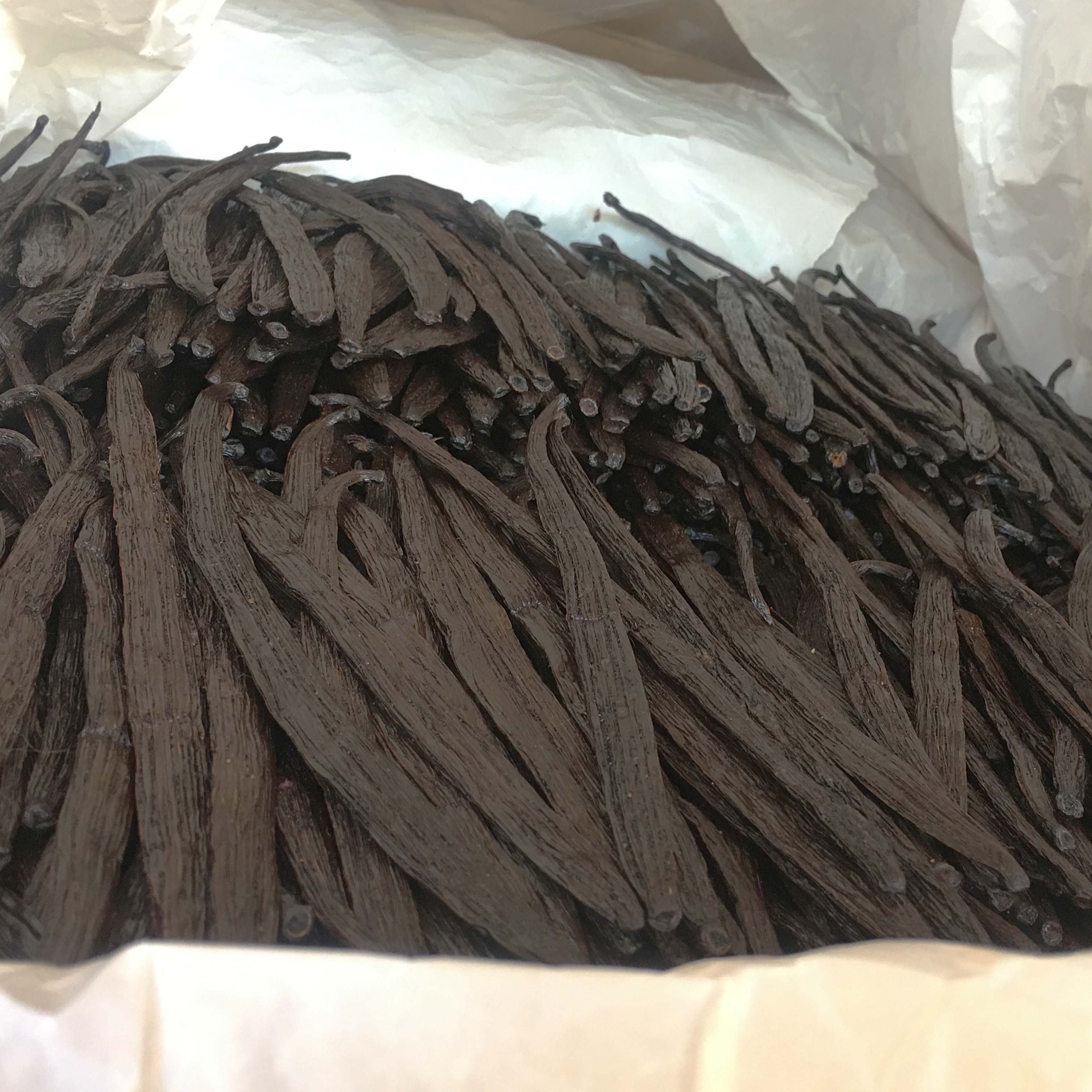 Bulk Vanilla Beans 