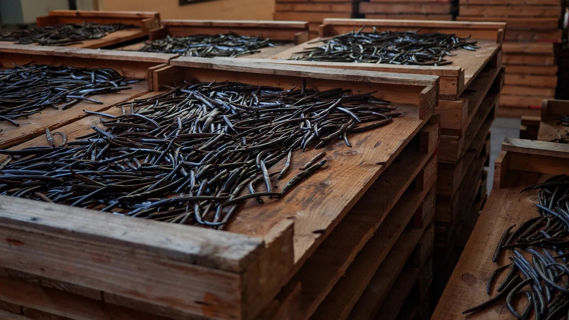 Buy Natural Vanilla Beans