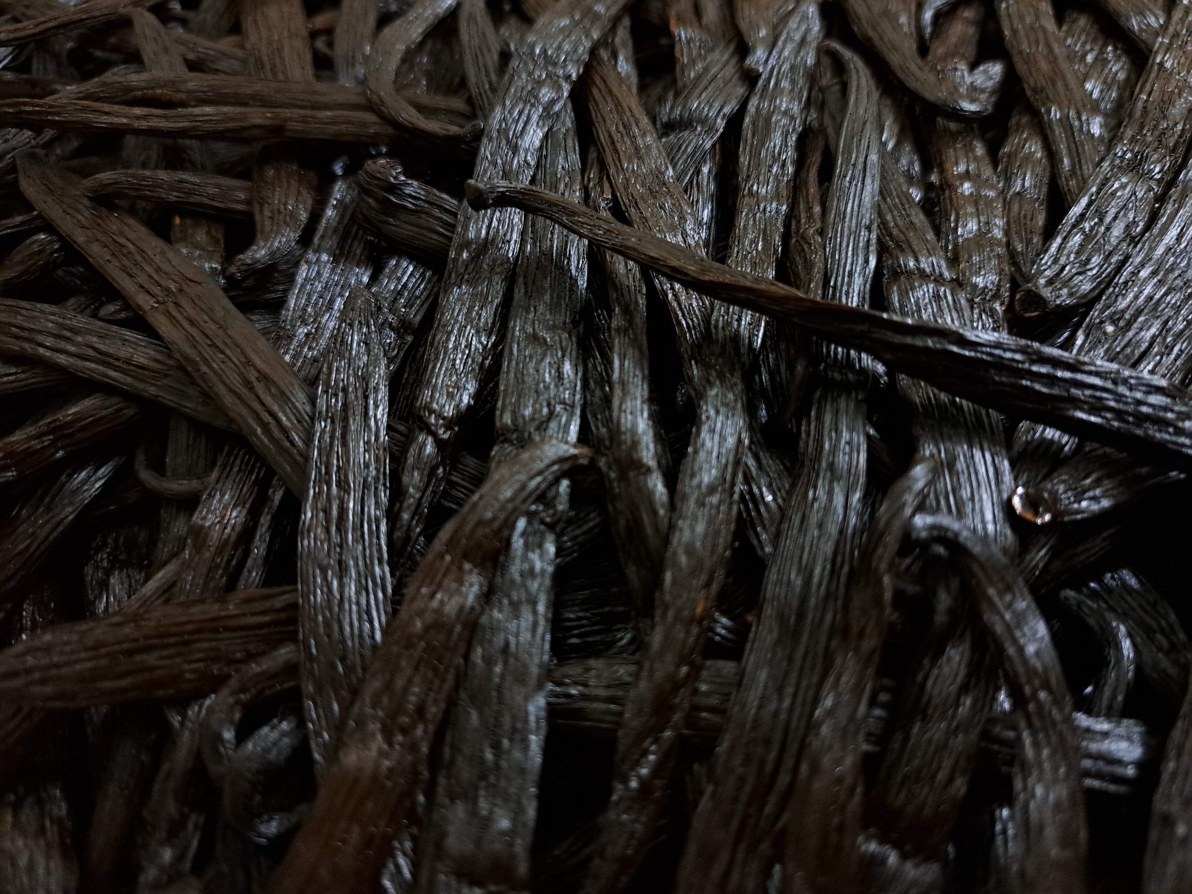 premium organic ugandan bulk vanilla beans 