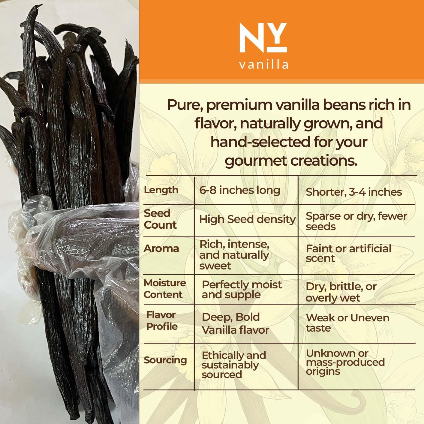 1 lb Premium Wholesale Vanilla Beans – Bulk Vanilla Beans for Culinary Professionals