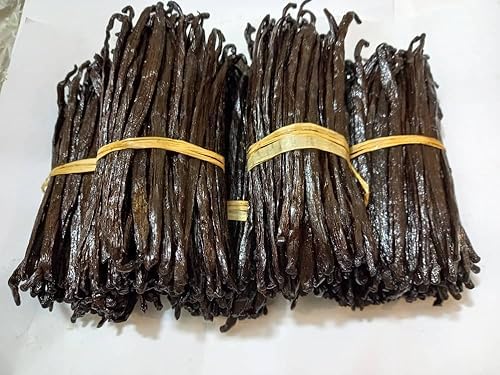Bundles of vanilla beans tied with yellow string on a white background