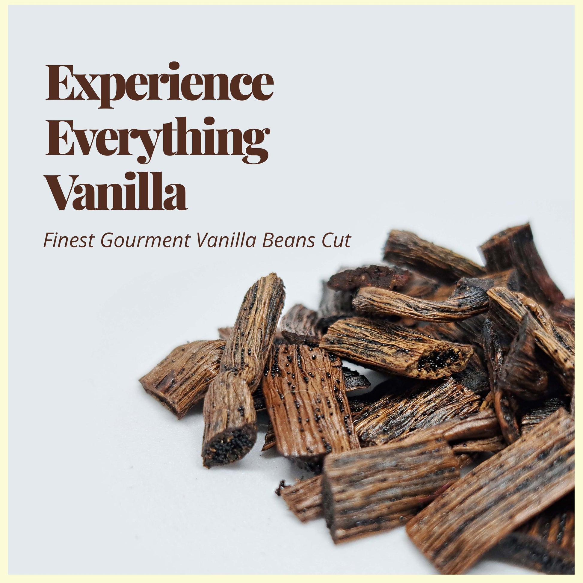 Finest Gourmet Vanilla split cuts displayed together in bulk