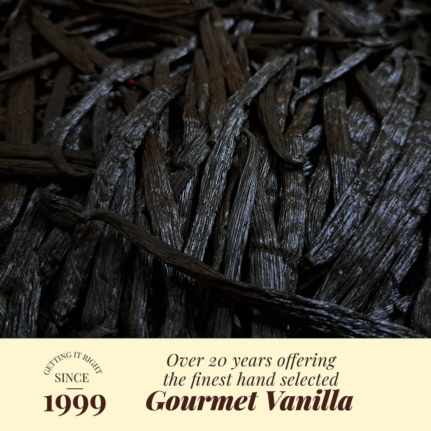 500 Grams Whole Premium Bulk Vanilla Beans Grade A  – Perfect For Making Vanilla Extract Baking, & More