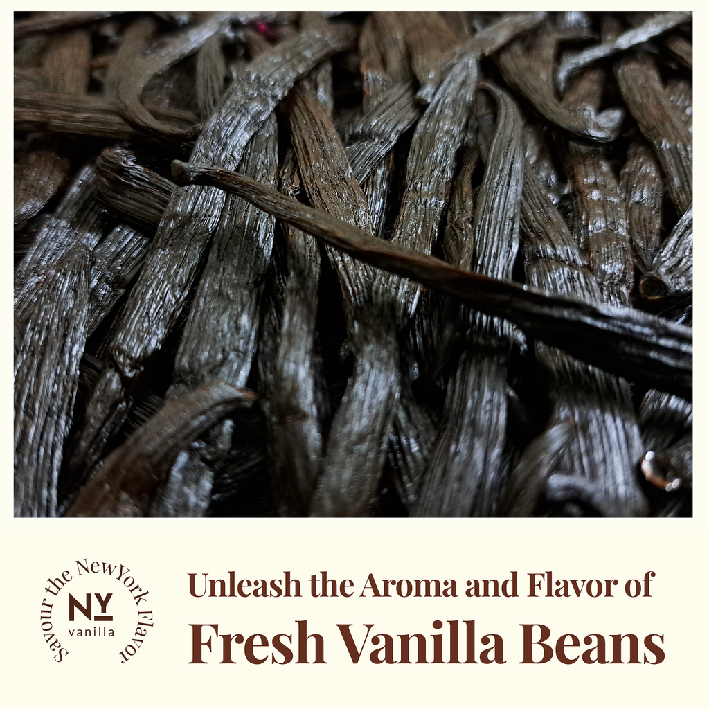 Gourmet fresh vanilla beans with strong aroma and flavor for extract making and baking