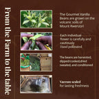 From the Farm to the Table.
- The Gourmet Vanilla Beans are grown on the volcanic soils of Mount Rwenzori. 
- Each individual flower 
Vanilla pods—high-quality, natural vanilla for creating delicious treats—are carefully and cautiously hand-pollinated. 
- The beans are harvested, dipped/cooked, dried, sweated, and conditioned.
- Vacuum sealed for lasting freshness.