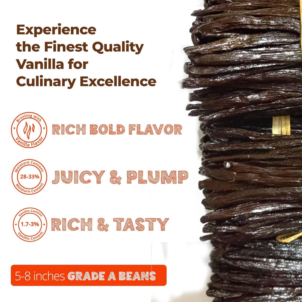 Premium Grade Vanilla beans stacked, showing rich flavor, juicy texture, and high-quality culinary use.

Experience the finest quality vanilla for culinary excellence. 
- Bursting with vanilla flavour: Rich, bold flavour.
- moisture content (28%-33%): Juicy & Plump
- Vanillin Content (1.7%-3%): Rich & Tasty
5-8 Inch Grade A Beans