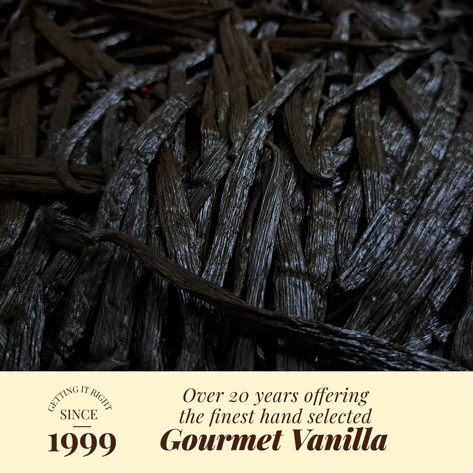 Premium gourmet vanilla beans since 1999 – aromatic, rich flavor pods for baking and extracts