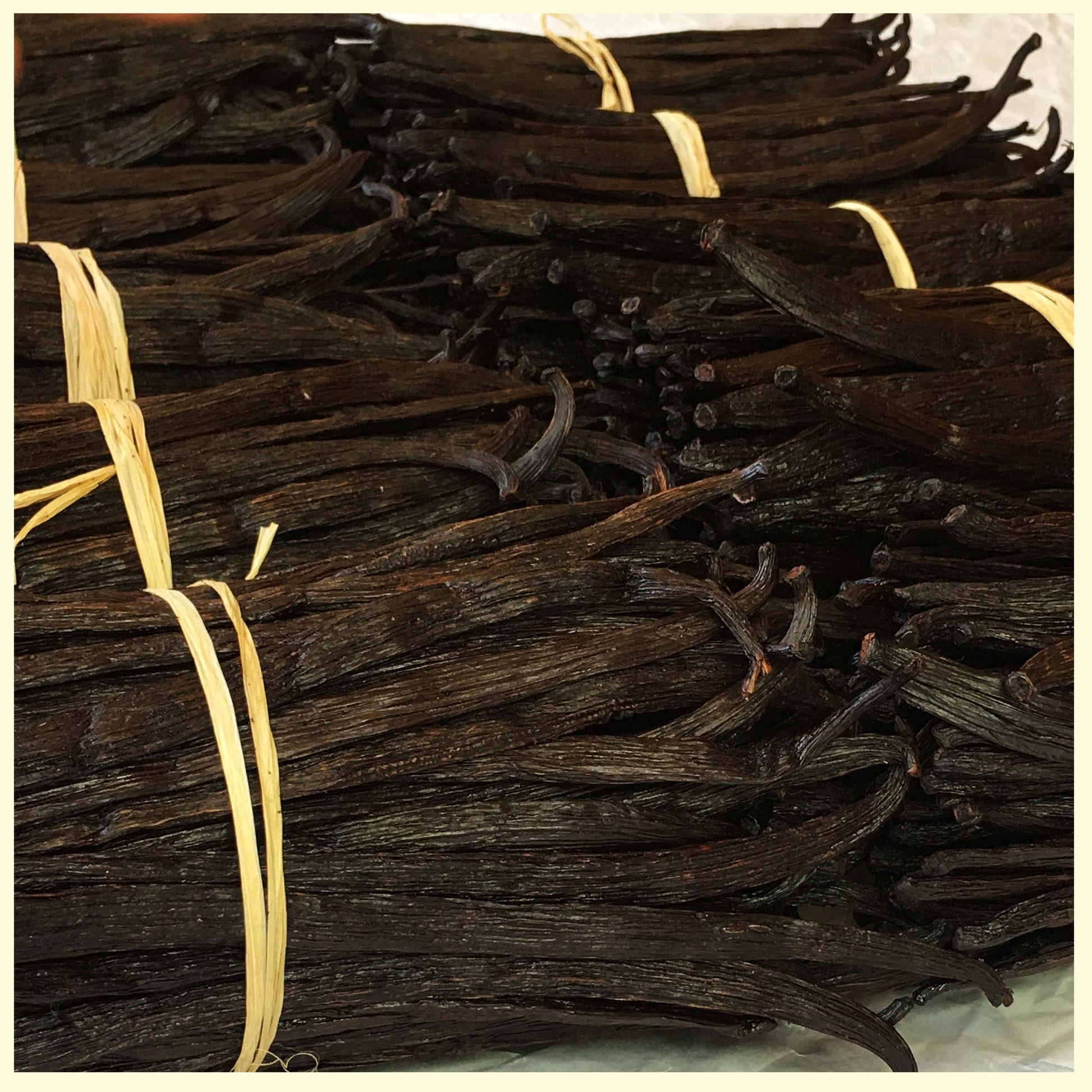 Bulk Vanilla beans Grade A on a table 