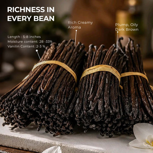 Three bundles of vanilla beans tied with natural bands, displayed on a stone surface with text callouts describing their rich creamy aroma, plump oily dark brown appearance, and 5-8 inch length with 28-33% moisture and 2-3% vanillin content.